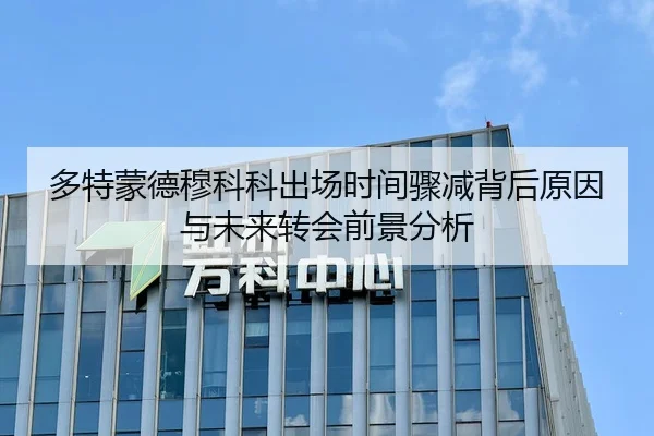 多特蒙德穆科科出场时间骤减背后原因与未来转会前景分析